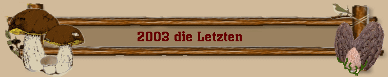 2003 die Letzten  