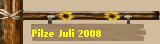 Pilze Juli 2008