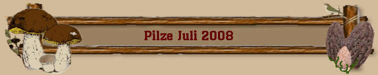 Pilze Juli 2008