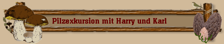 Pilzexkursion mit Harry und Karl  