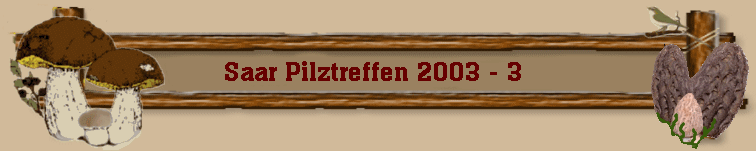 Saar Pilztreffen 2003 - 3 