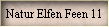 Natur Elfen Feen 11