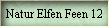 Natur Elfen Feen 12