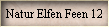 Natur Elfen Feen 12