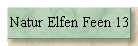 Natur Elfen Feen 13
