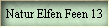 Natur Elfen Feen 13
