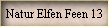 Natur Elfen Feen 13