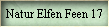 Natur Elfen Feen 17