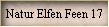 Natur Elfen Feen 17