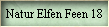 Natur Elfen Feen 18