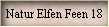 Natur Elfen Feen 18