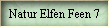 Natur Elfen Feen 7