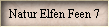 Natur Elfen Feen 7