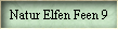 Natur Elfen Feen 9