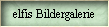 elfis Bildergalerie