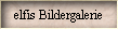 elfis Bildergalerie